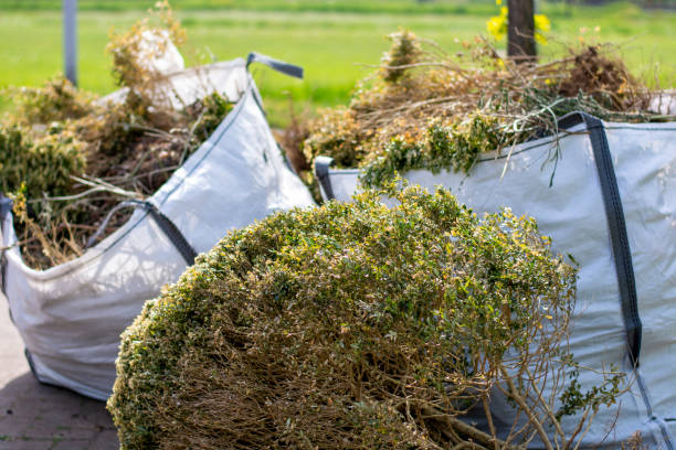 Best Professional Junk Removal  in Crump, TN